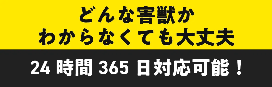 どんな害獣かわからなくても大丈夫 24時間365日対応可能！